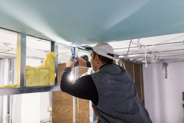 Best Residential Insulation in Banks Springs, LA