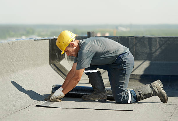Best Cellulose Insulation in Banks Springs, LA
