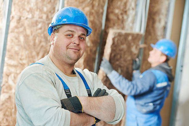 Best Eco-Friendly Insulation in Banks Springs, LA