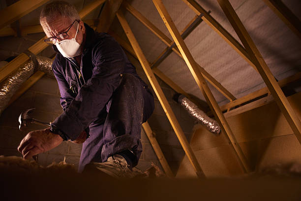 Best Geographic-Specific Insulation Services in Banks Springs, LA